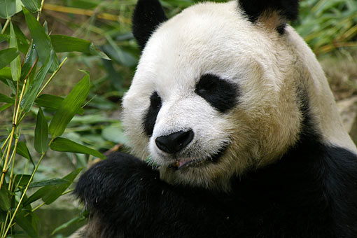 �C�m����