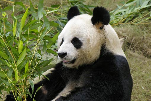 �C�m����