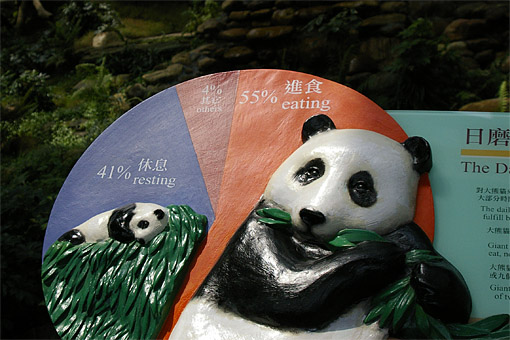 �C�m����