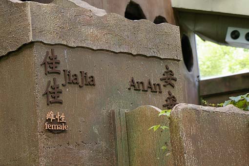 �C�m����