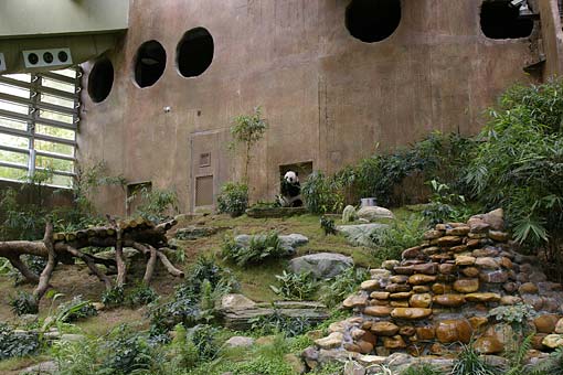 �C�m����