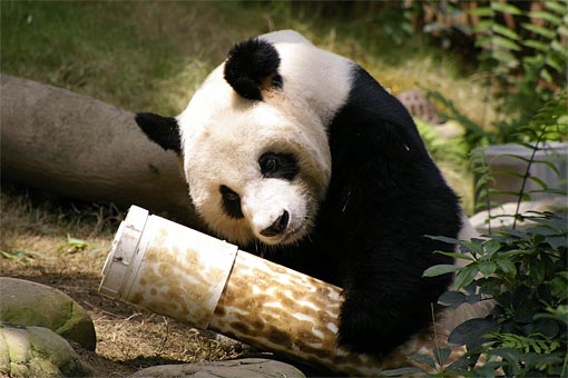 �C�m����