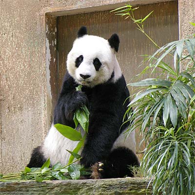 �C�m����