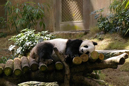 �C�m����