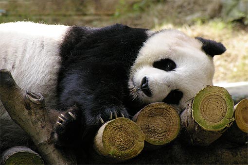 �C�m����