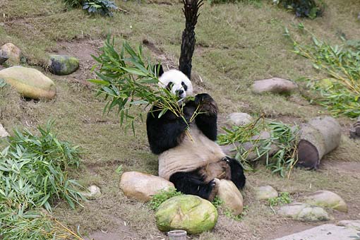 �C�m����