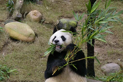 �C�m����