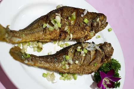 ���`�V��C�ѓX