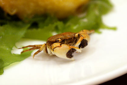 �����L�[