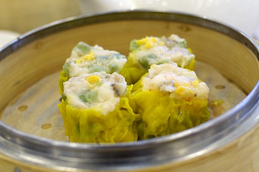 �C�s�C�N����