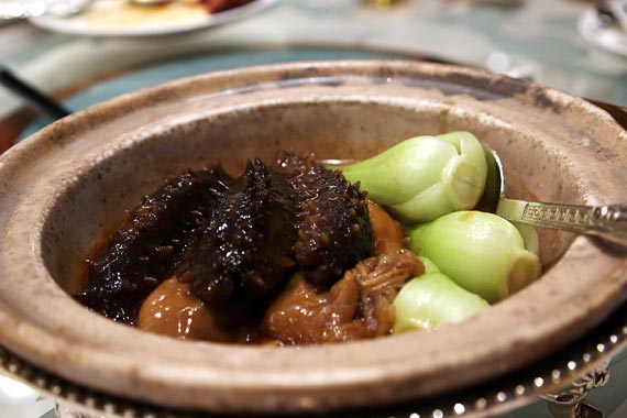 Dynasty�@�����O