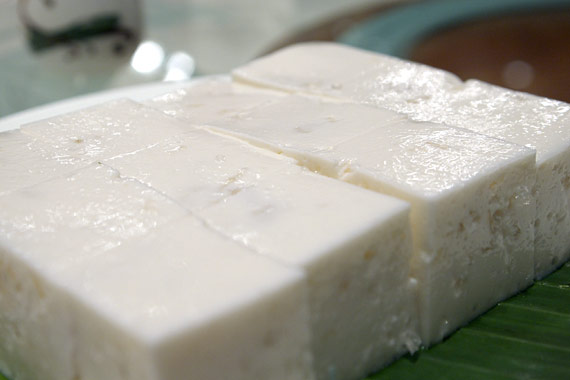 Dynasty�@�����O