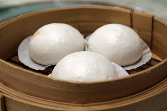 Dynasty�@�����O