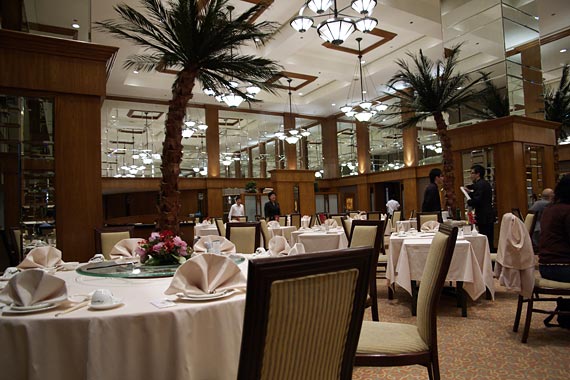 Dynasty�@�����O