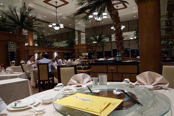 Dynasty�@�����O