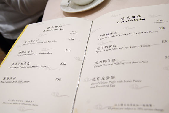 Dynasty�@�����O