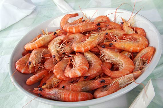 ���L�C�N����