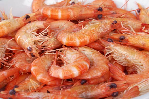 ���L�C�N����