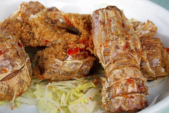 ���L�C�N����