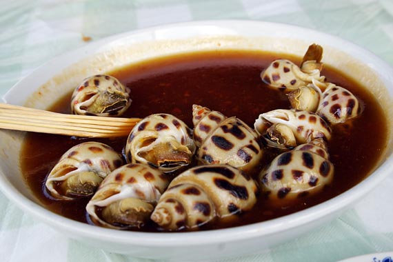 ���L�C�N����