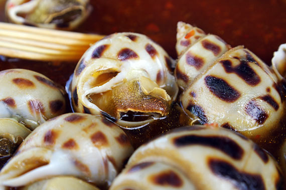 ���L�C�N����