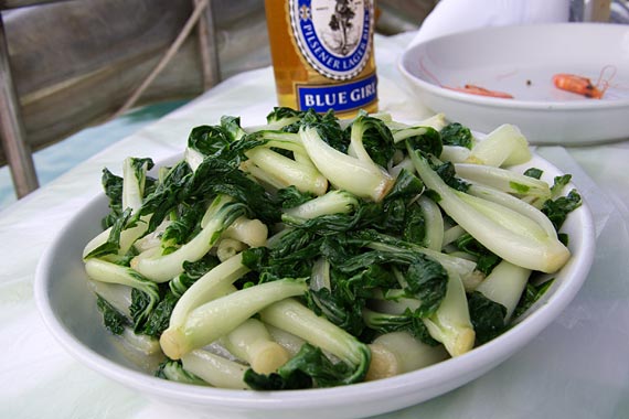 ���L�C�N����