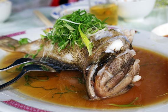 ���L�C�N����