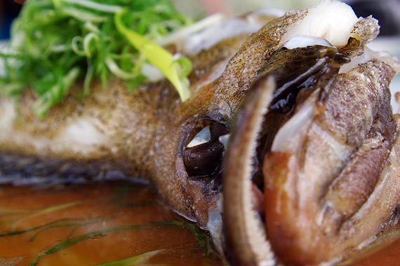 ���L�C�N����