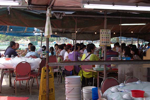 ���L�C�N����