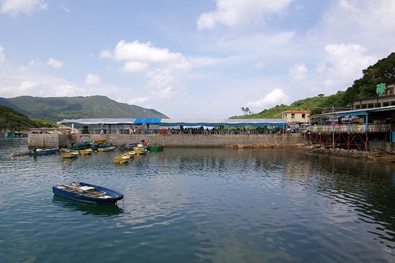 ���L�C�N����