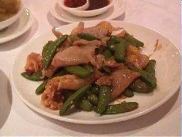 ���t�@XO���u��