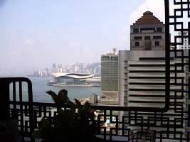 ������̕��i