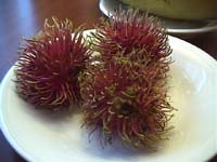 �����u�[�^��