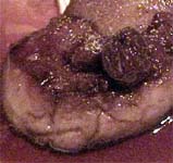 �_�b�N���o�[