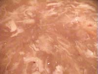 �c�o���̑�