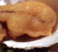 ���y�̃t���b�^�[