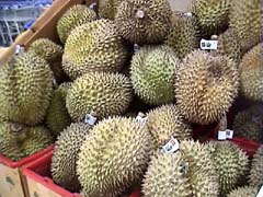 �h���A��