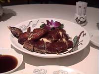 ���y�����{