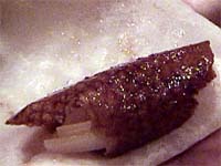 �k���_�b�N