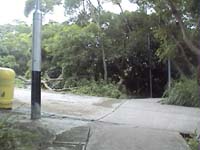 �s�����S