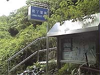 �s�����T