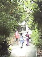 �s�����U