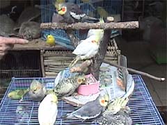 ���I���E