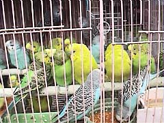 ���I���E