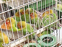 ���I���E