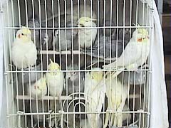 ���I���E