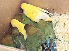 ���I���E