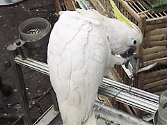 ���I���E