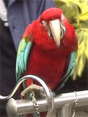 ���I���E