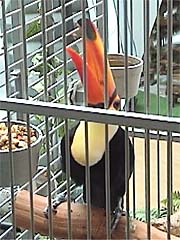 ���I���E